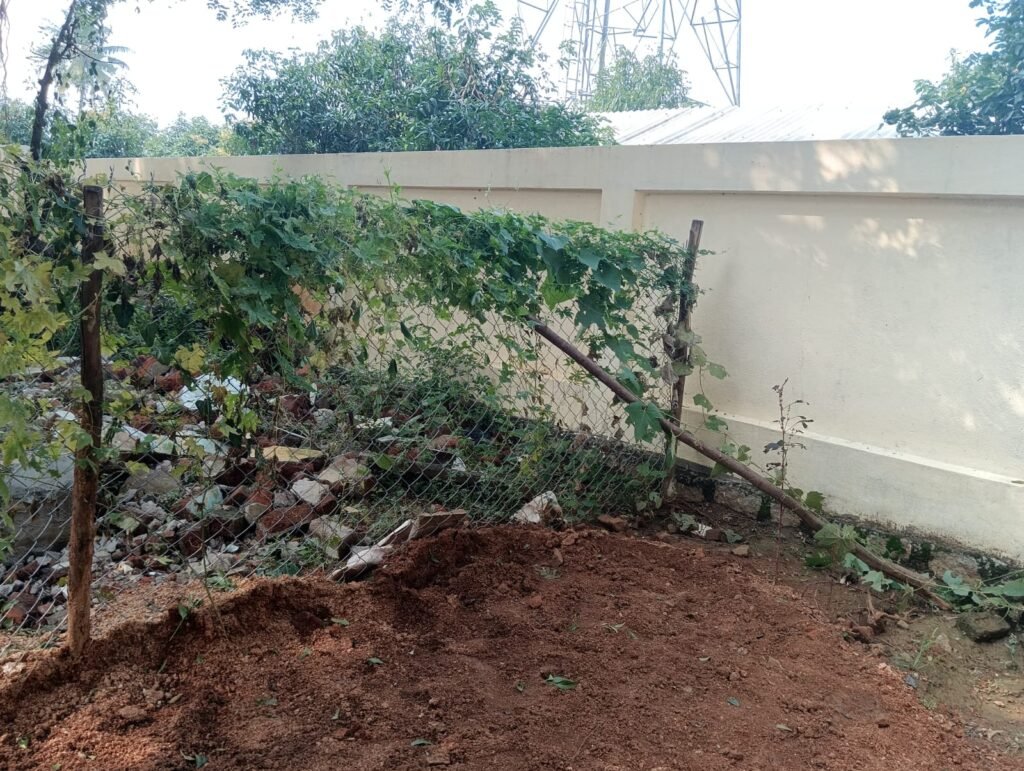 Bio - Intensive and Nutri Garden