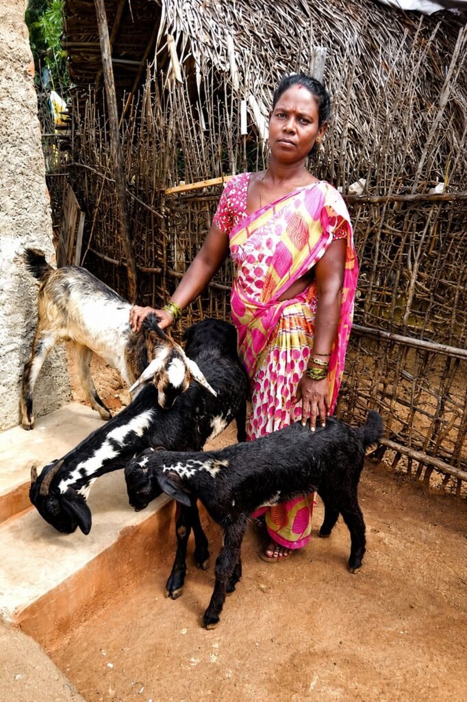 Goats Distribution